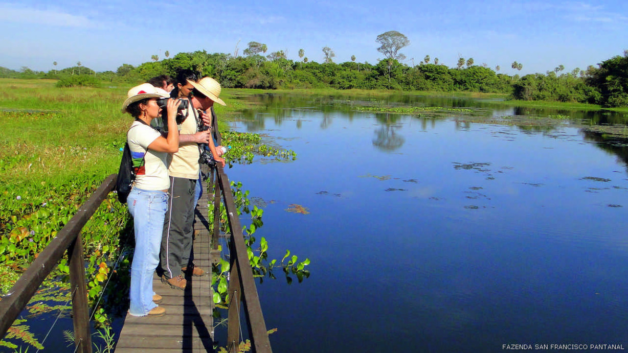 Agência Pantanal Viagens E Turismo | Pantanal Viagens E Turismo ...